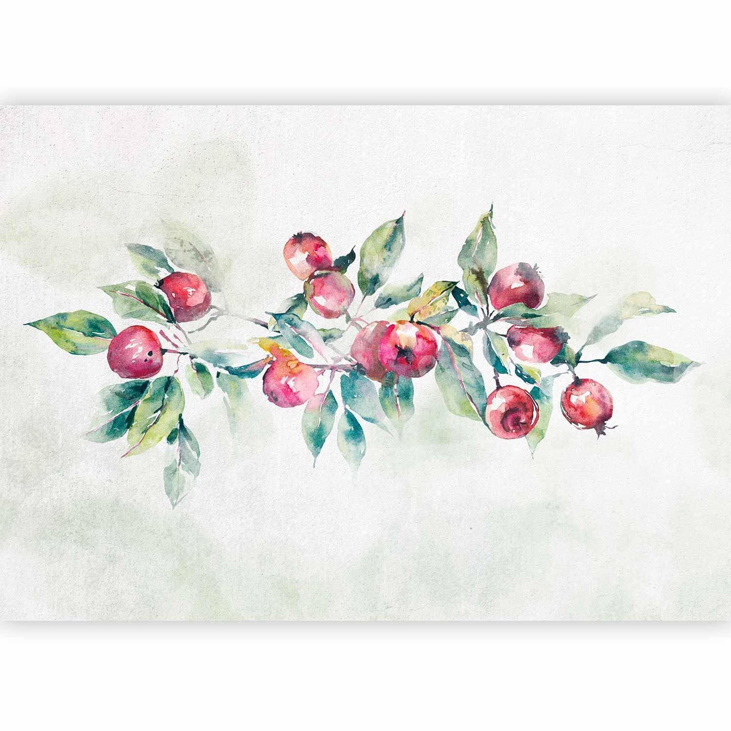 Fototapete - Apple branch - landscape with a plant and red apples on a white background Artgeist