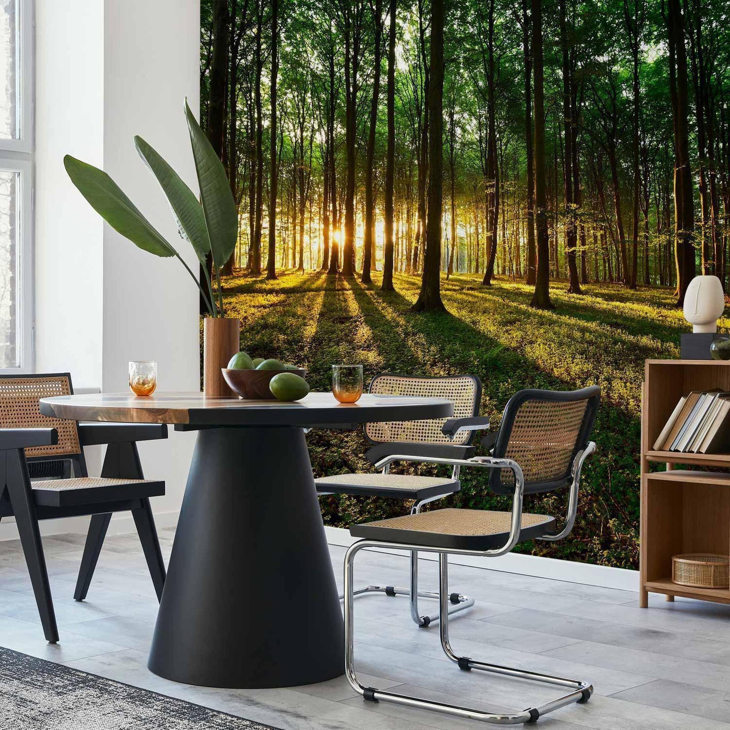 Fototapete - Spring: Morning in the Forest