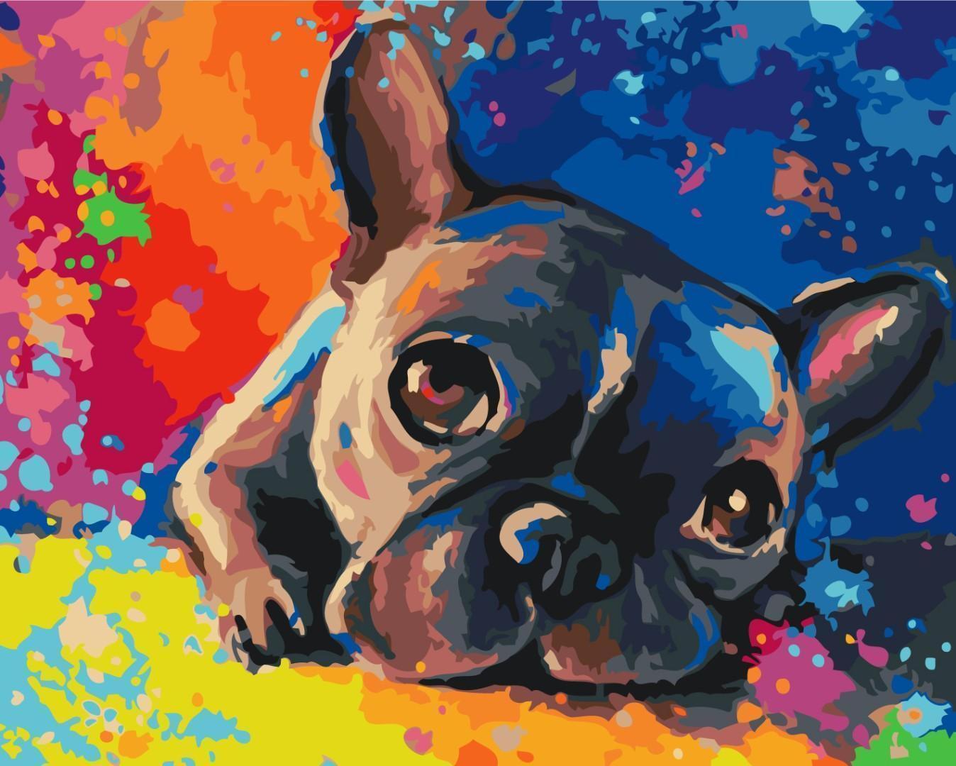 Malen nach Zahlen - Colourful French bulldog