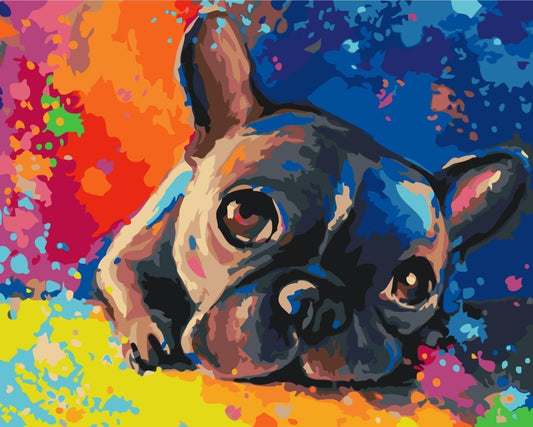Malen nach Zahlen - Colourful French bulldog