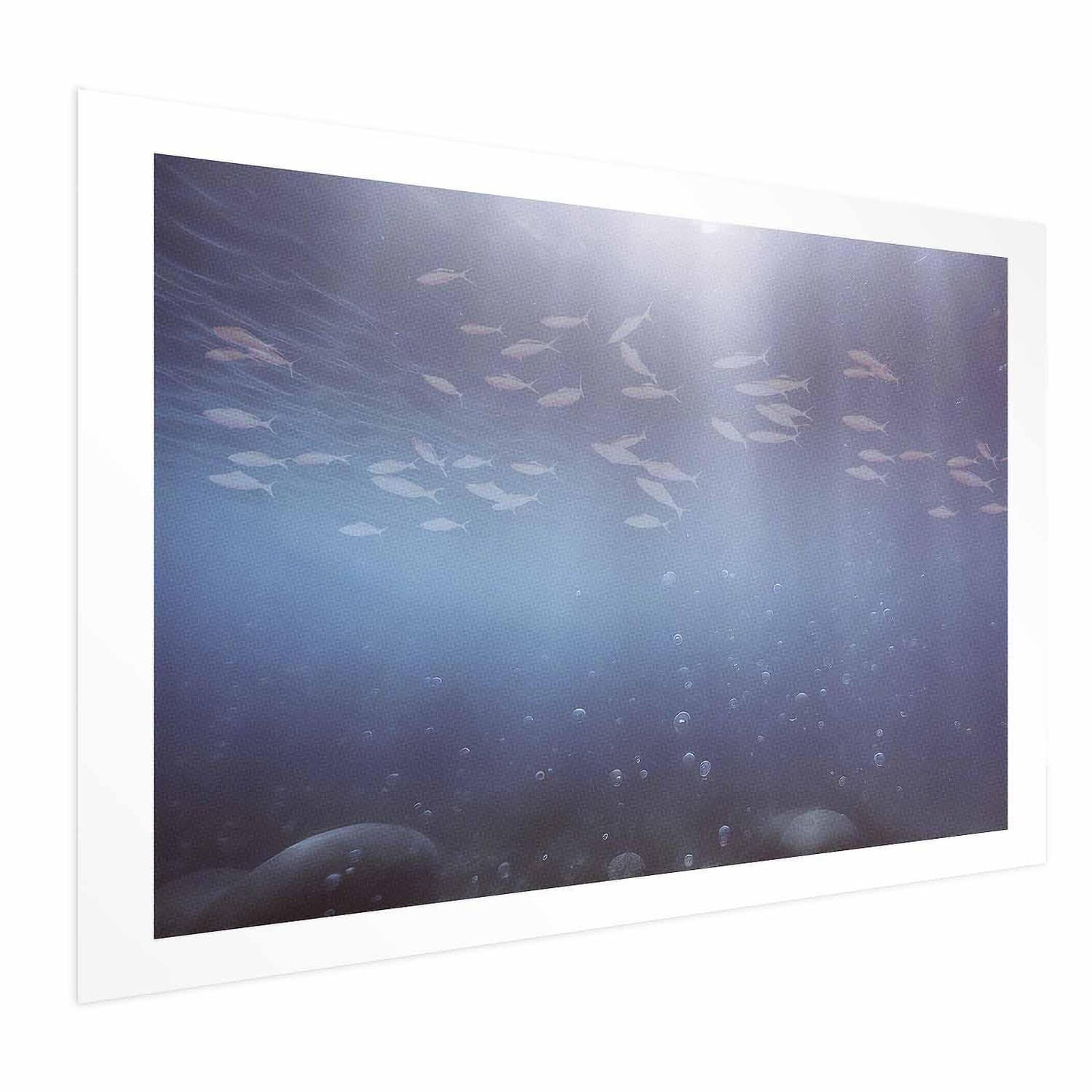 Poster Fische in der Tiefe  – Tiefsee-Fisch im mystischen Blau