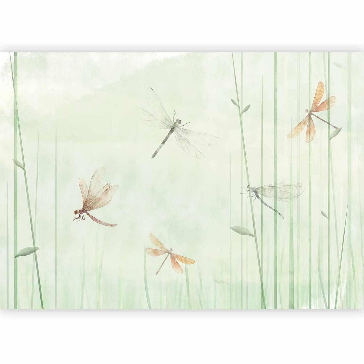 Fototapete - Dragonflies in the Meadow