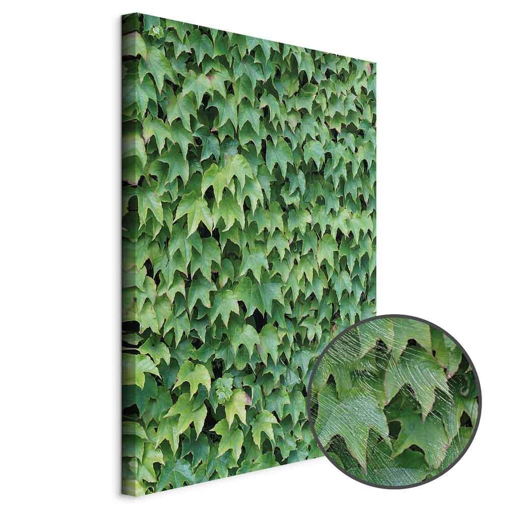 Leinwandbild - Thick Ivy (1 Part) Vertical