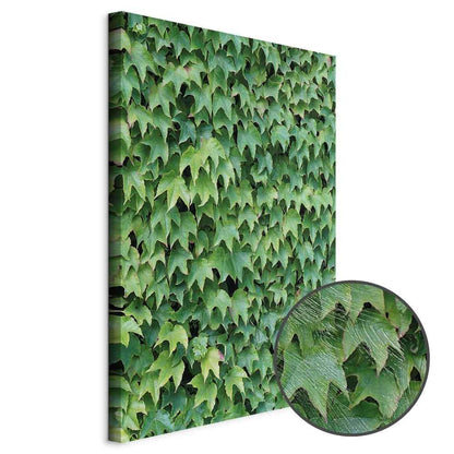 Leinwandbild - Thick Ivy (1 Part) Vertical