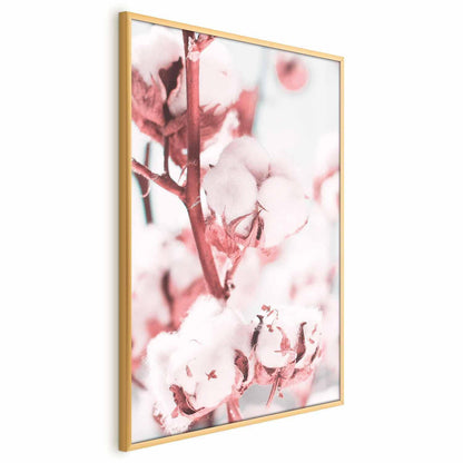 Poster - Cotton in Bloom Artgeist