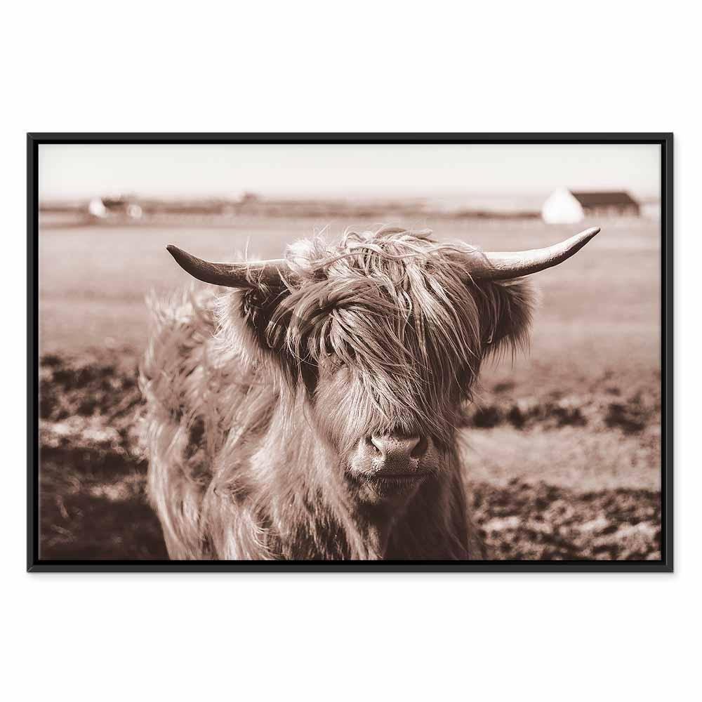 Leinwandbild - A Scottish Cow in Sepia