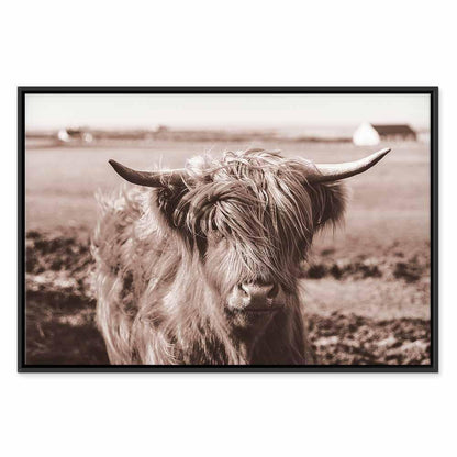 Leinwandbild - A Scottish Cow in Sepia