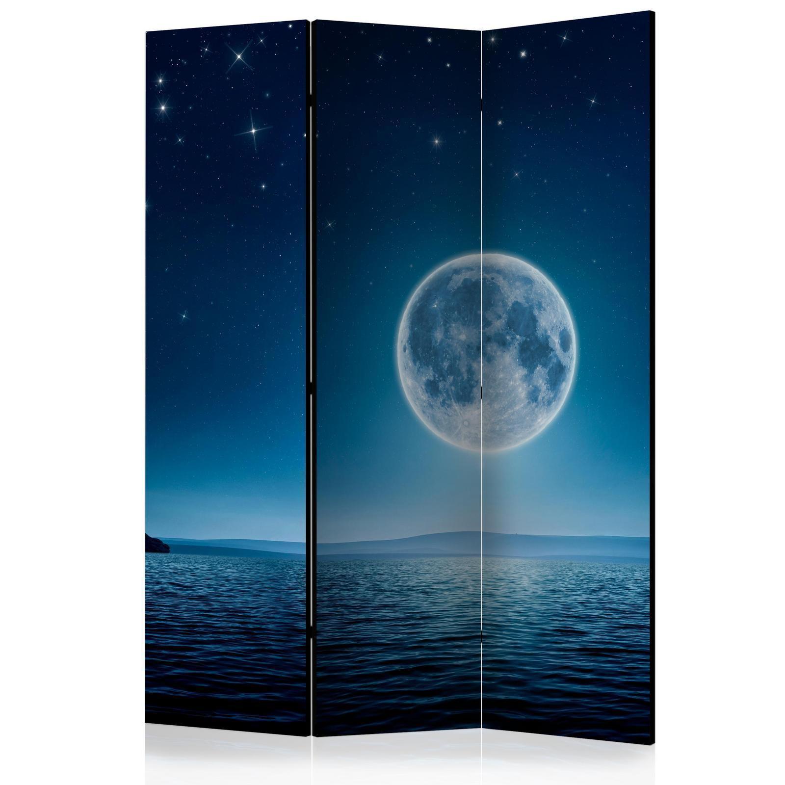 Paravent - Moonlit night Artgeist