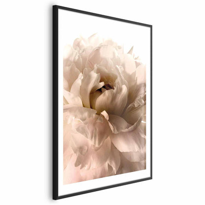 Poster - Soft Petals Artgeist