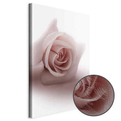 Leinwandbild - Floral Glamour Glow (1-part) - Delicate and Pastel Pink Rose