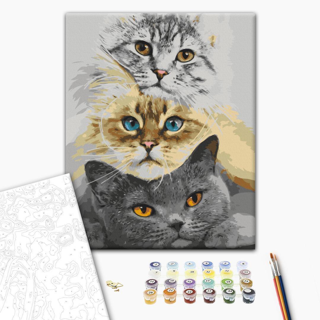 Malen nach Zahlen - Cat's Trio