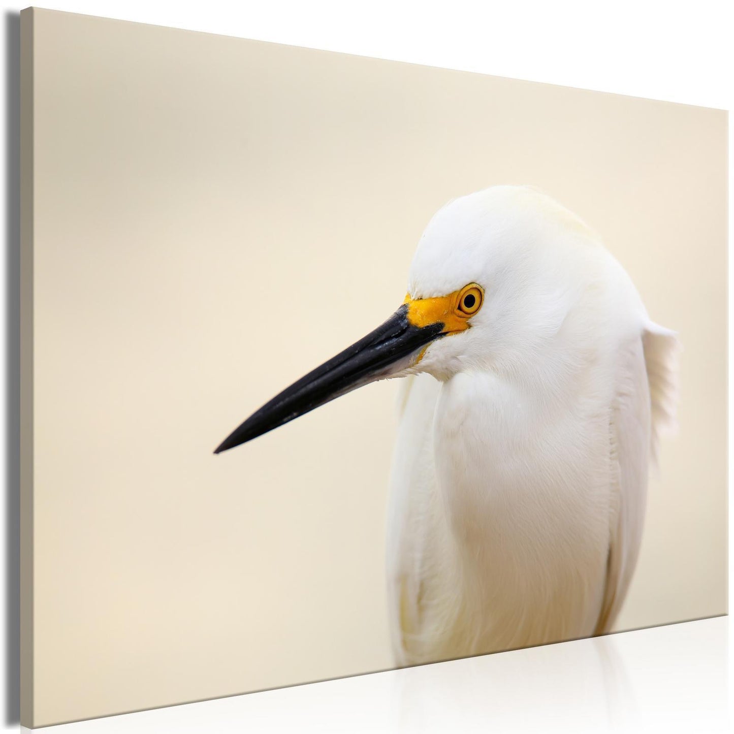 Leinwandbild - Snowy Egret (1 Part) Wide