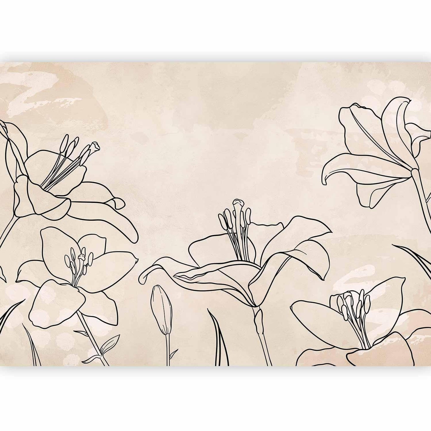 Fototapete - Sketch of nature - minimalist lineart with lily flowers on a beige background
