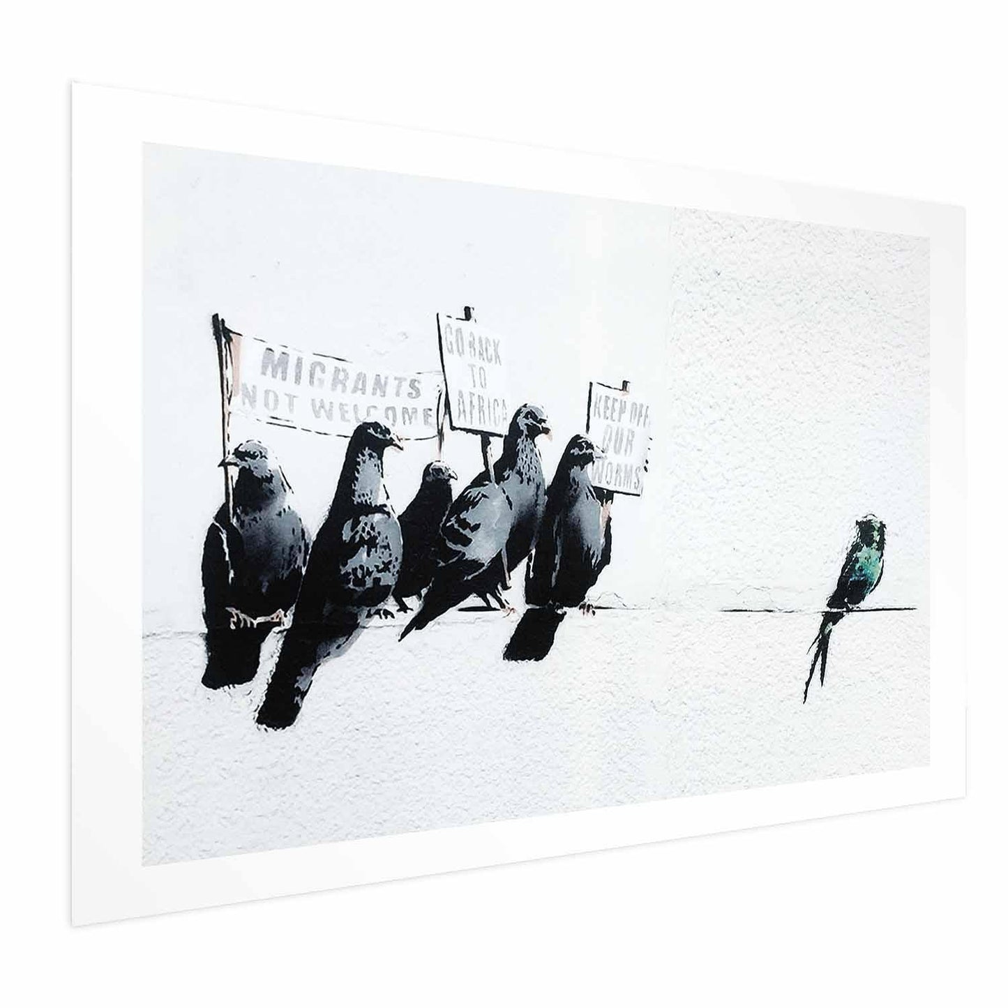 Poster - Xenophobic Pigeons