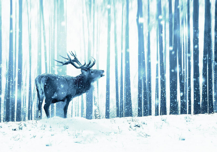 Fototapete - Winter animals - deer motif on a forest background in shades of blue Artgeist