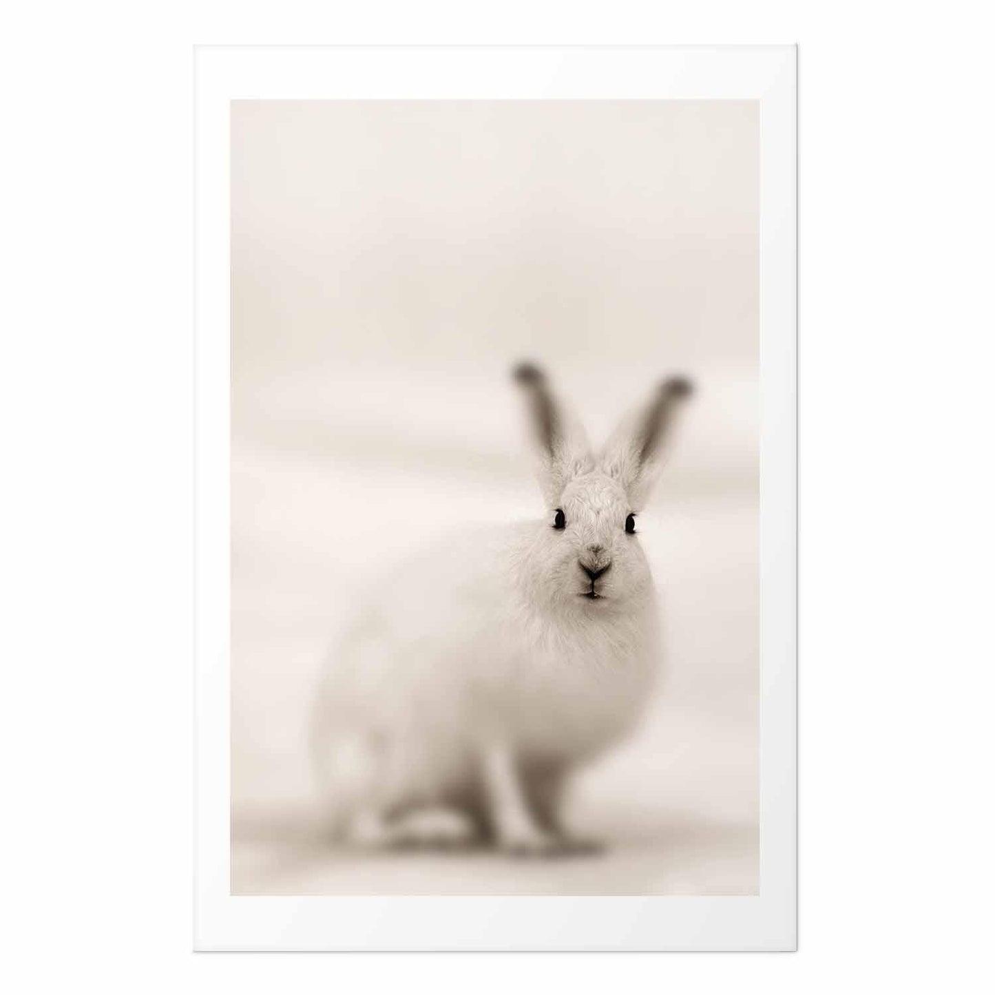 Poster - Fearful Look