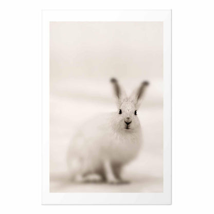 Poster - Fearful Look