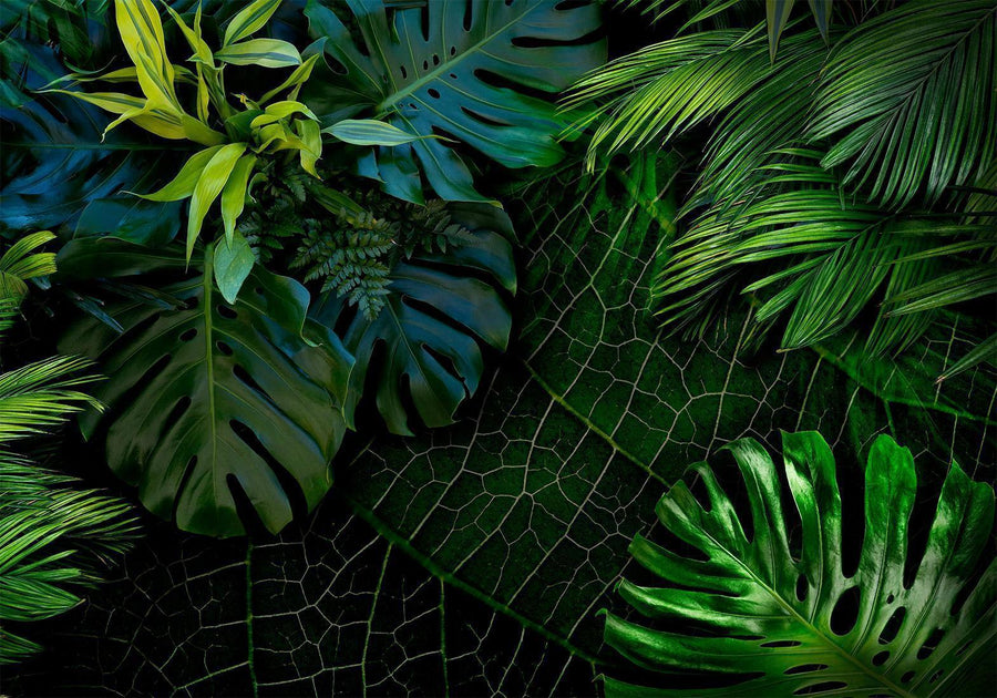 Fototapete - Dark Jungle Artgeist