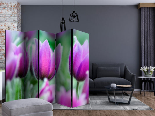 Paravent - Purple spring tulips II Artgeist