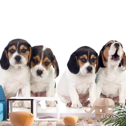 Fototapete „Sad Puppies“ – Süße Hundewelpen mit Herzblick