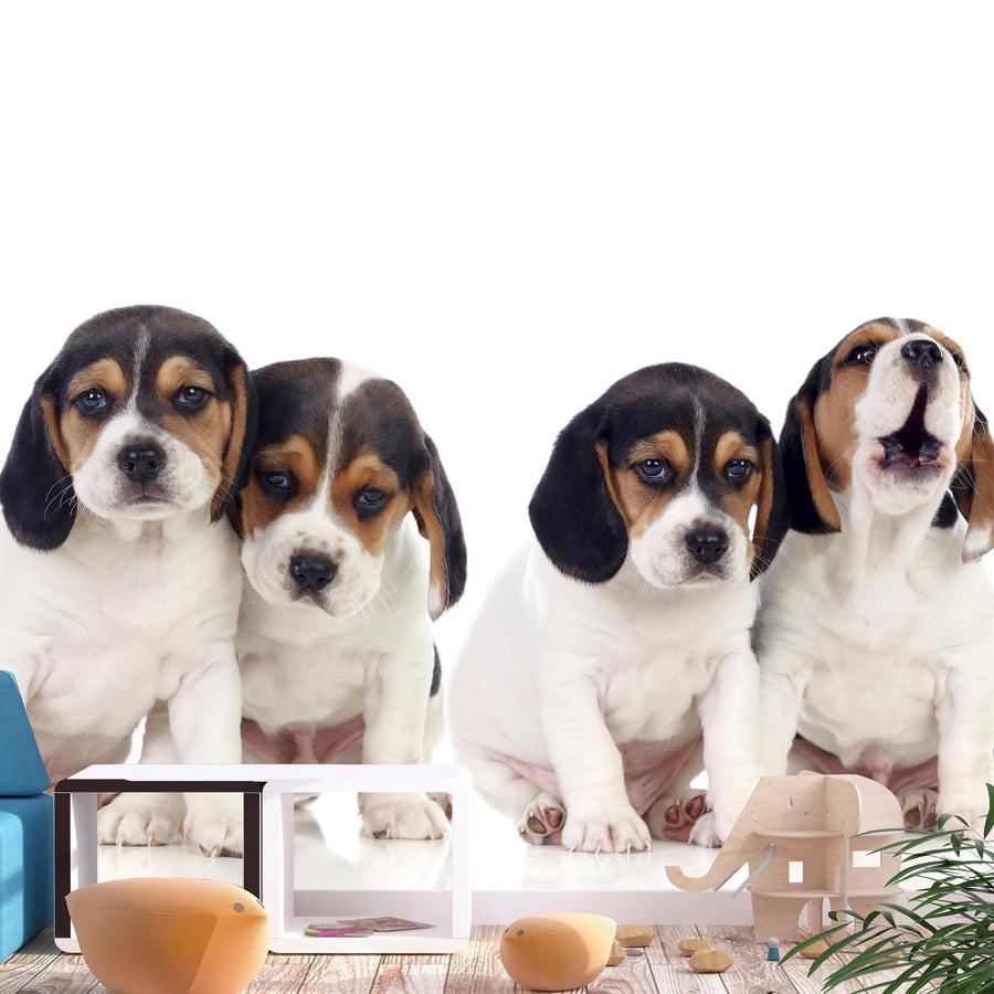 Fototapete „Sad Puppies“ – Süße Hundewelpen mit Herzblick