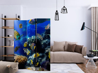 Paravent - Underwater adventure Artgeist