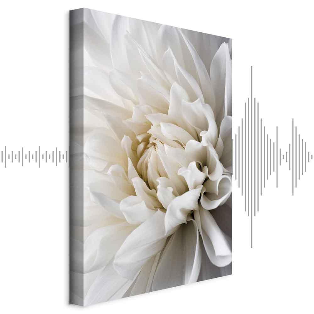 Leinwandbild - White Dahlia