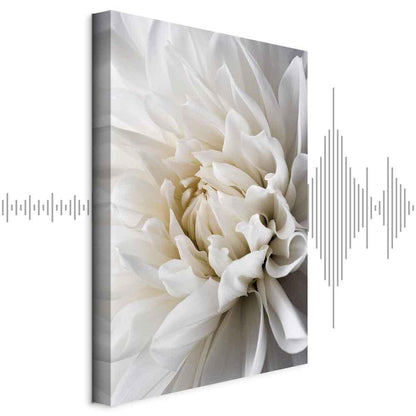 Leinwandbild - White Dahlia