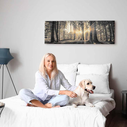 Leinwandbild - Forest Sun