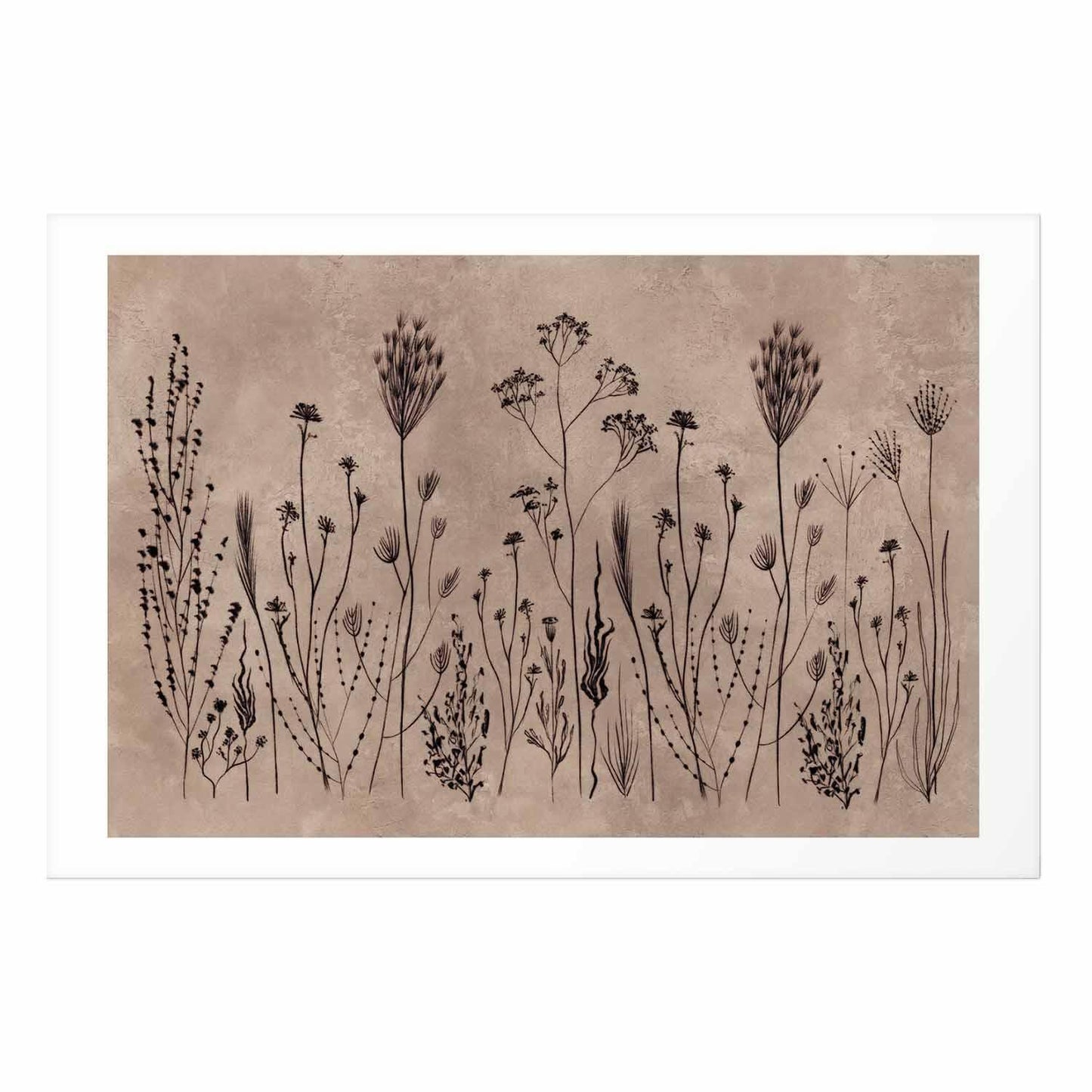 Poster - Field Flowers - black plants on a lime wash background