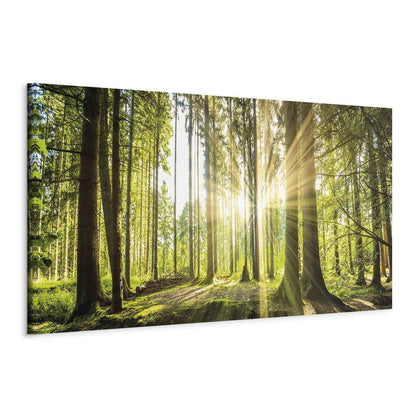 Leinwandbild „Tageslicht“ – Sanftes Sonnenlicht trifft Natur