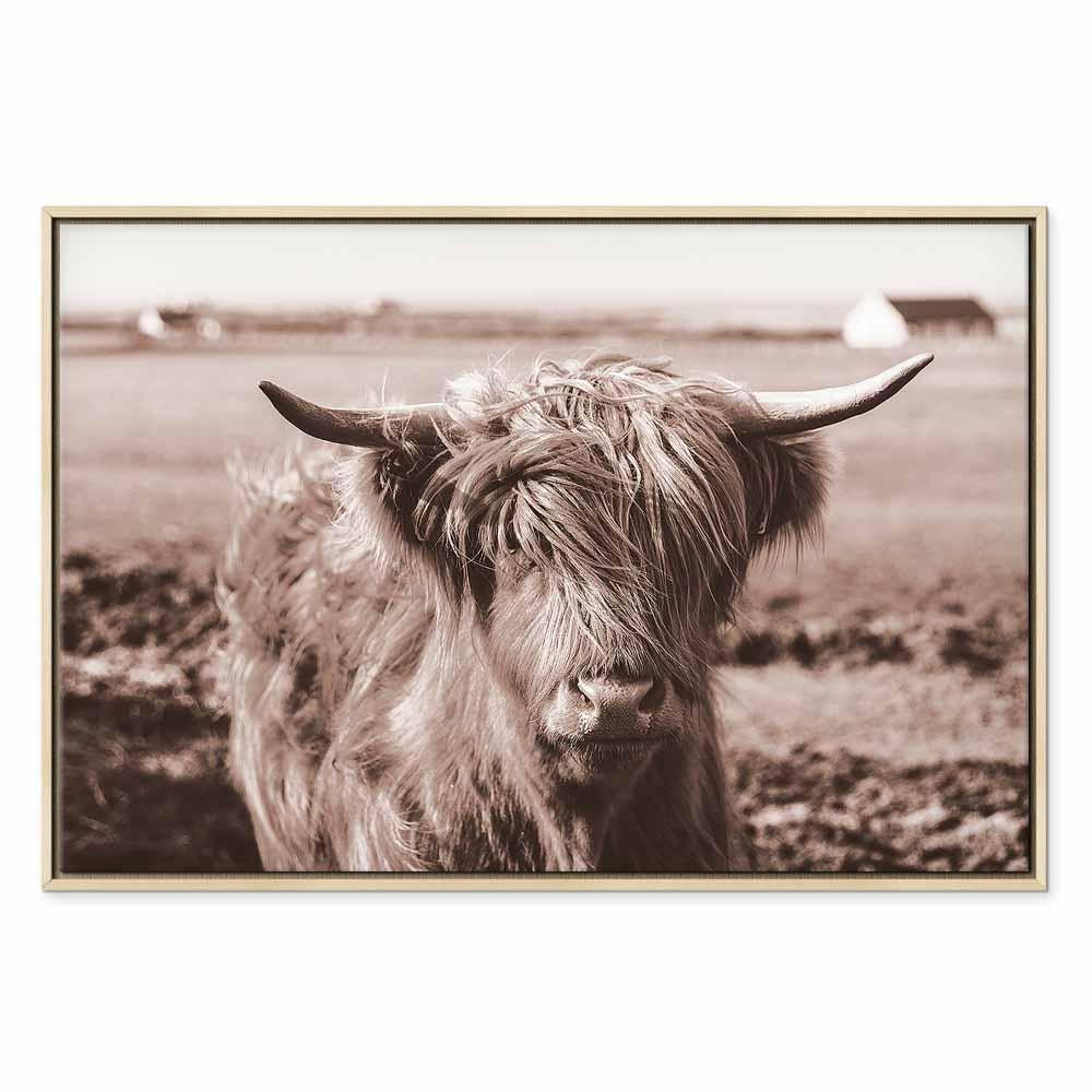 Leinwandbild - A Scottish Cow in Sepia