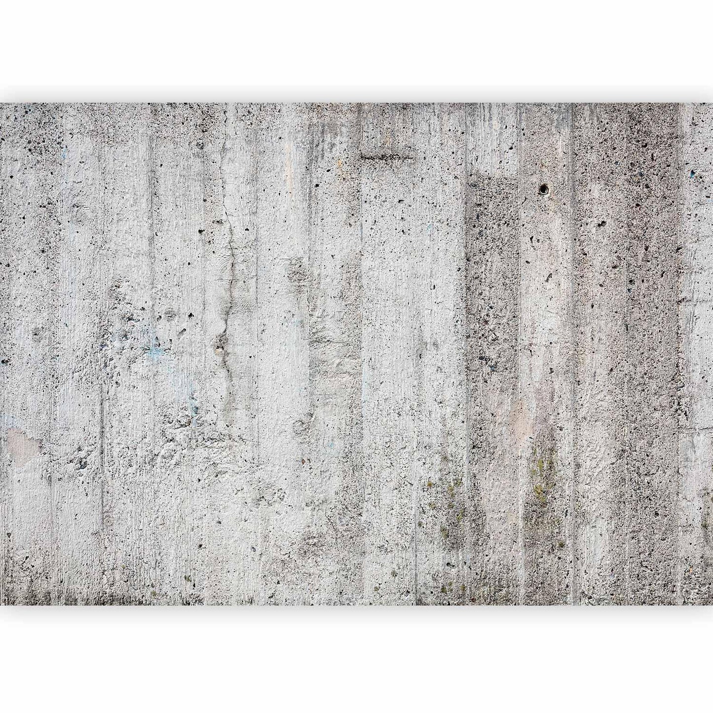 Fototapete - Grey Emperor