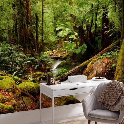 Fototapete - Forest Brook