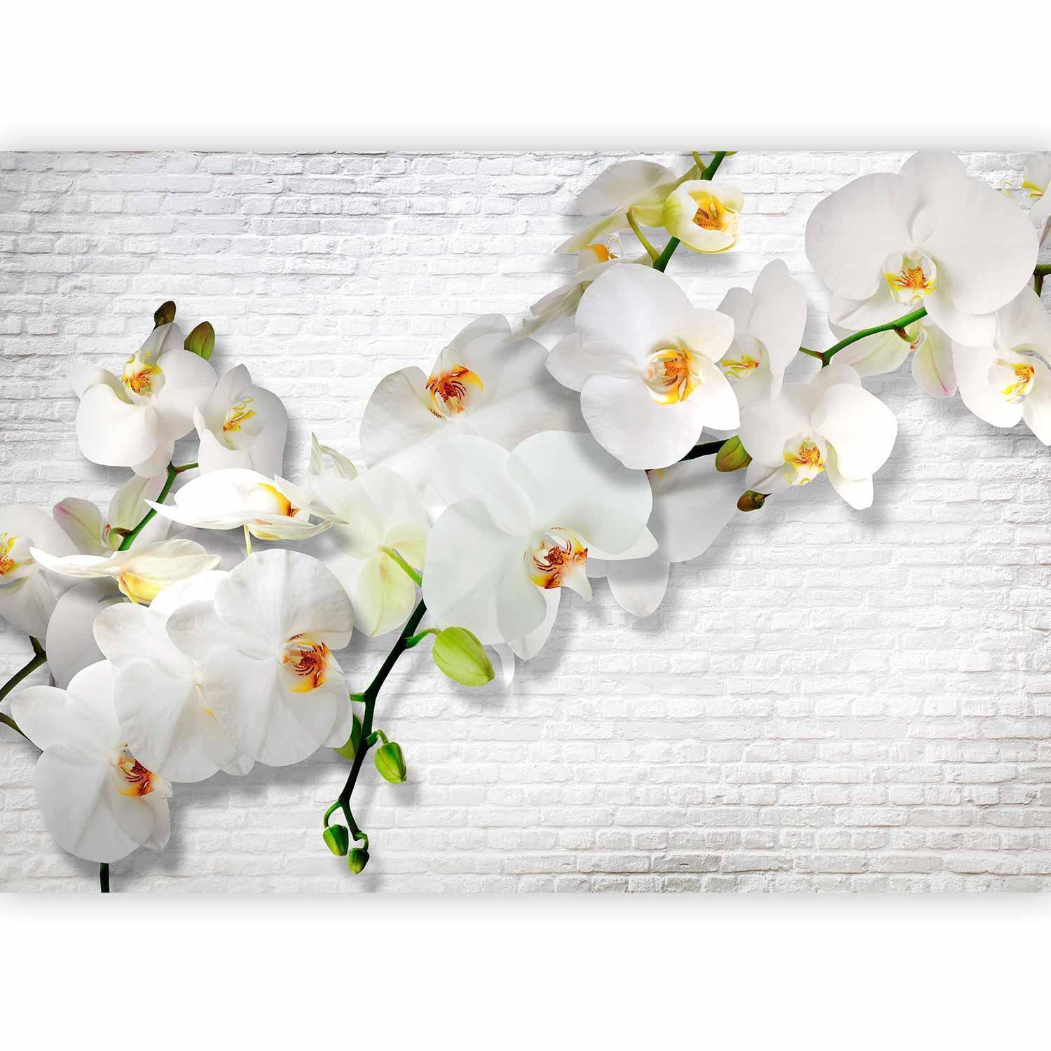 Hochwertige Vliestapete mit weißer Orchidee – modernes Design für elegante Raumgestaltung