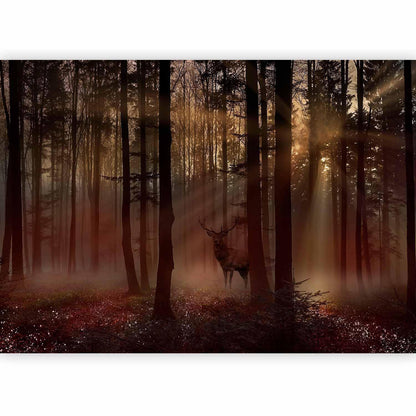 Fototapete - Mystical Forest - First Variant Artgeist