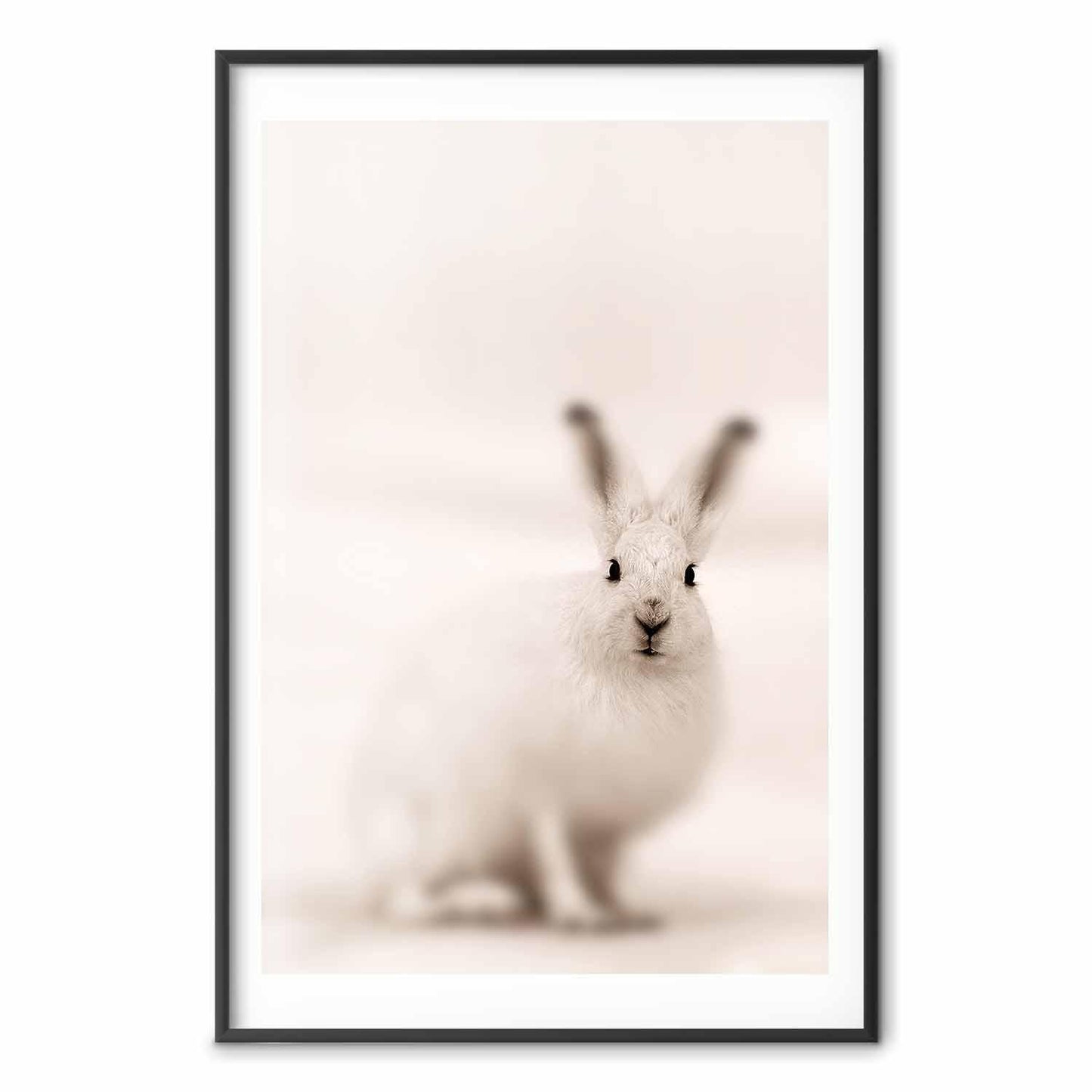 Poster - Fearful Look