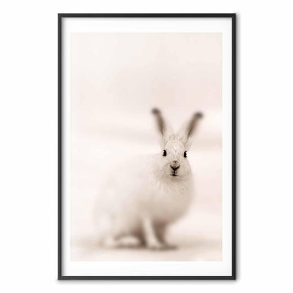 Poster - Fearful Look