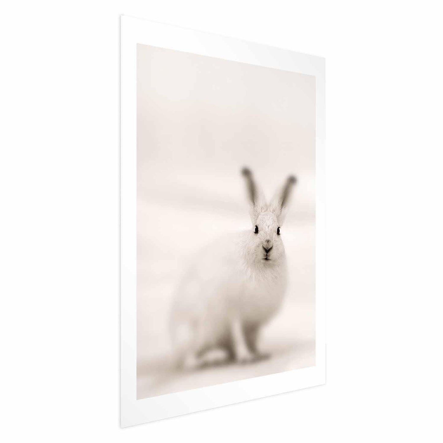 Poster - Fearful Look