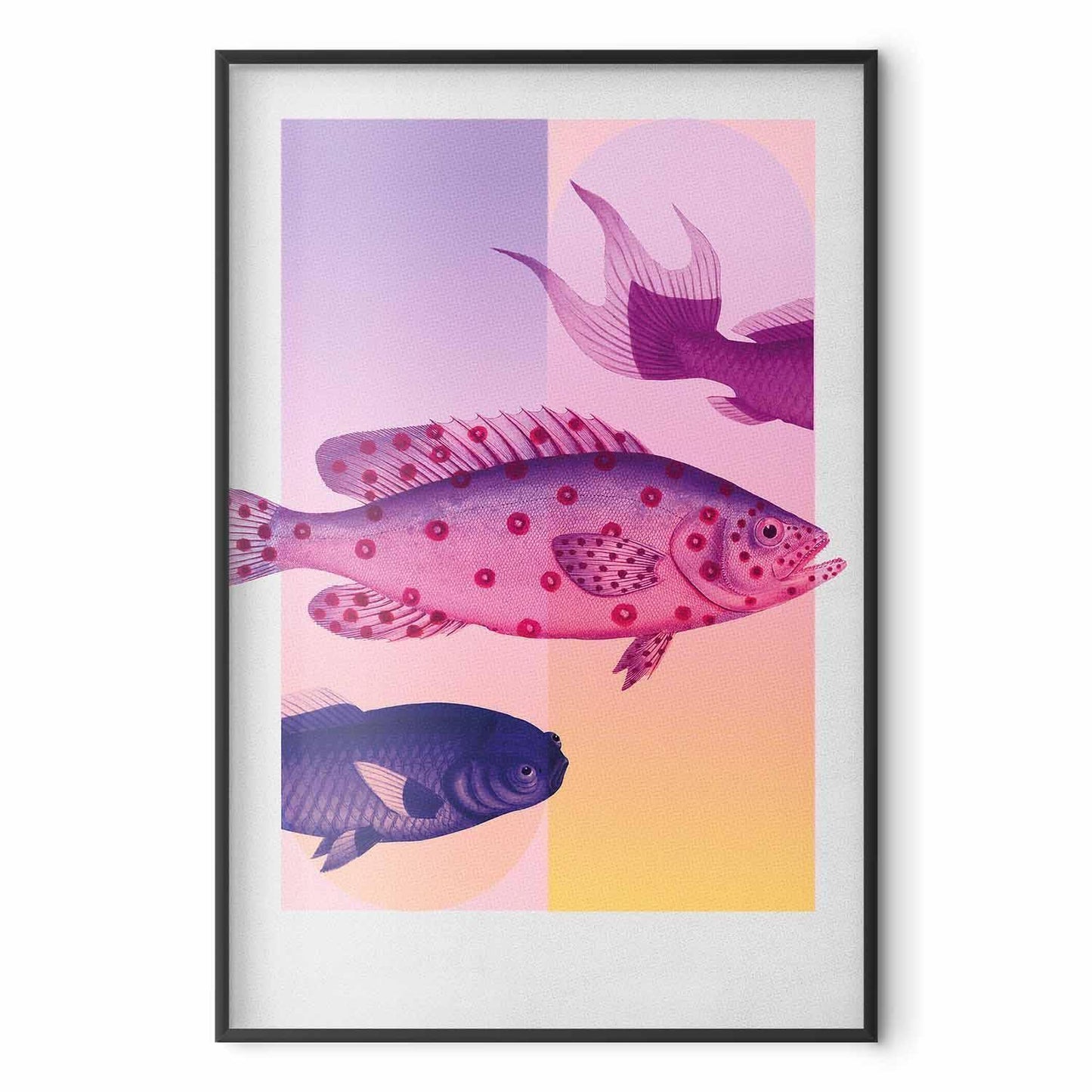 Poster - Fantastic Fish - artistic illustration of fish on a colorful background