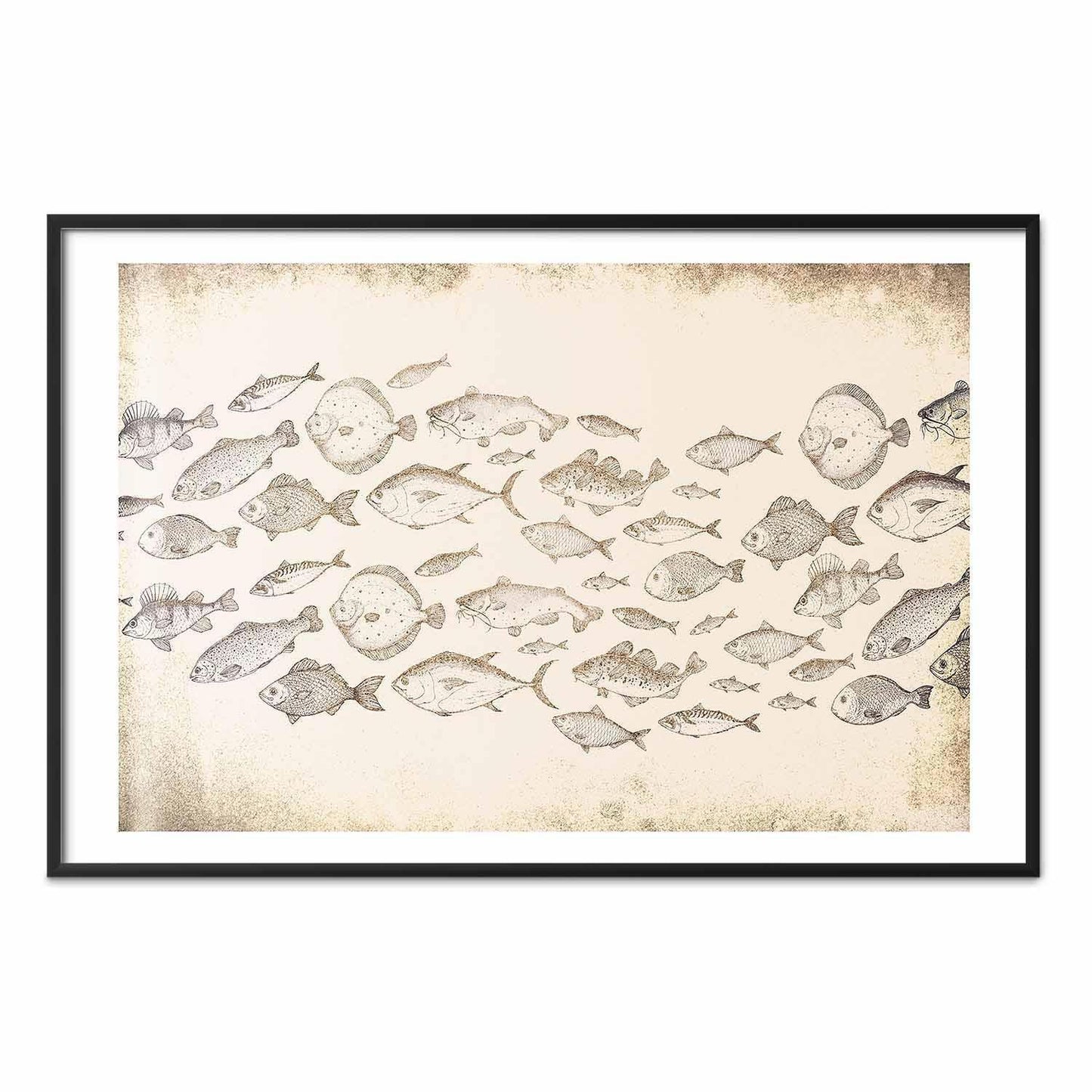 Poster - Subtle Little Fish