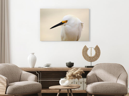 Leinwandbild - Snowy Egret (1 Part) Wide