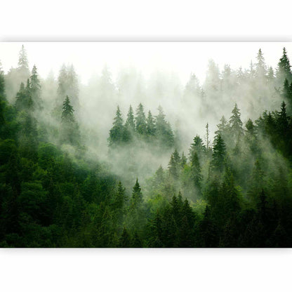 Fototapete - Mountain Forest (Green) Artgeist