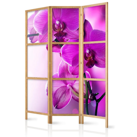 Japanischer Paravent - Violet Orchids I Artgeist