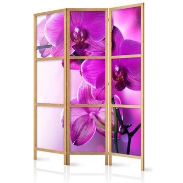 Japanischer Paravent - Violet Orchids I Artgeist