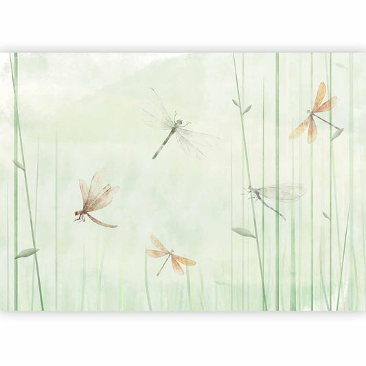 Fototapete - Dragonflies in the Meadow