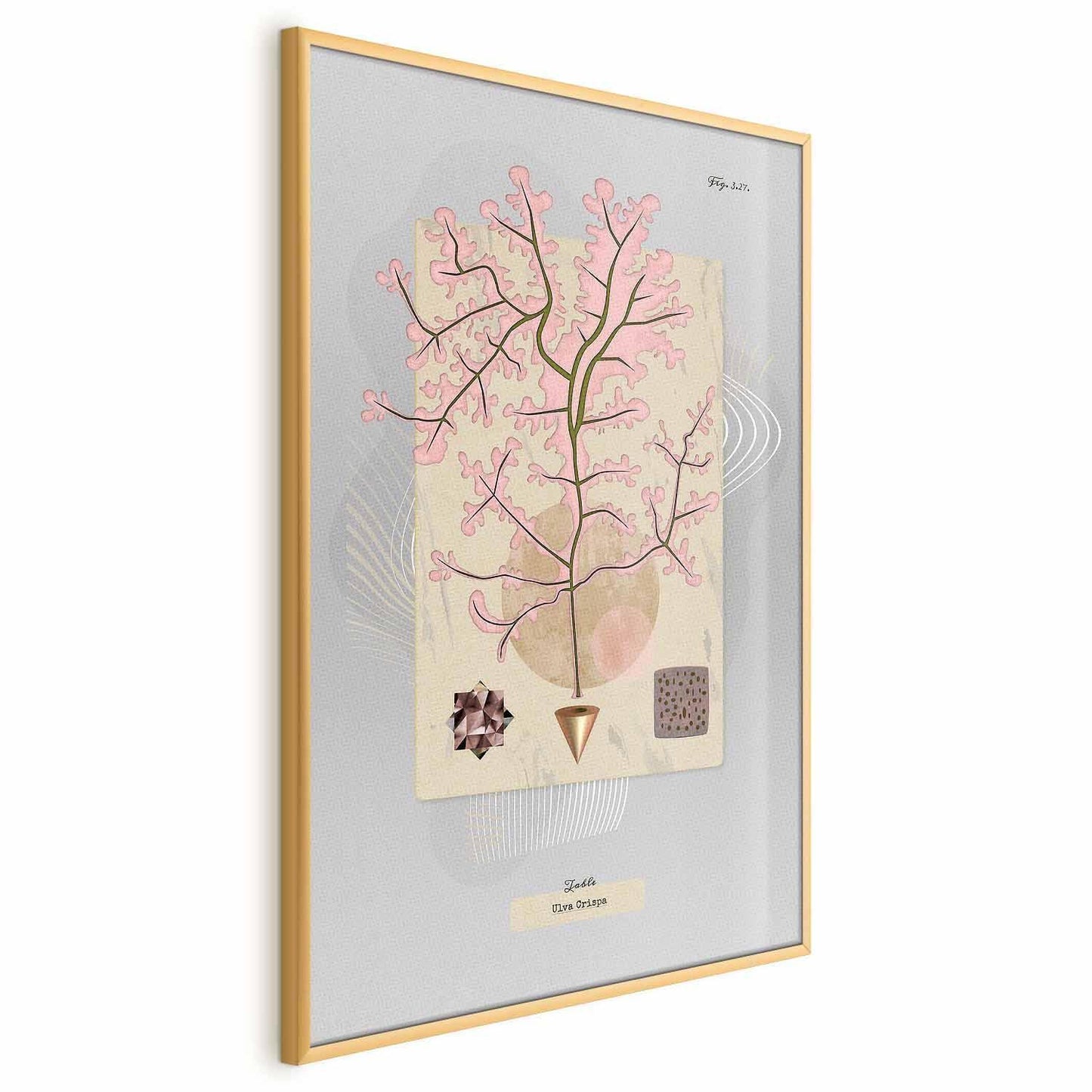 Poster - Mysterious Tree