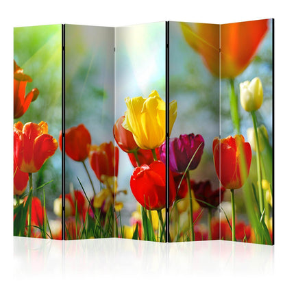 Paravent - Spring Tulips II Artgeist