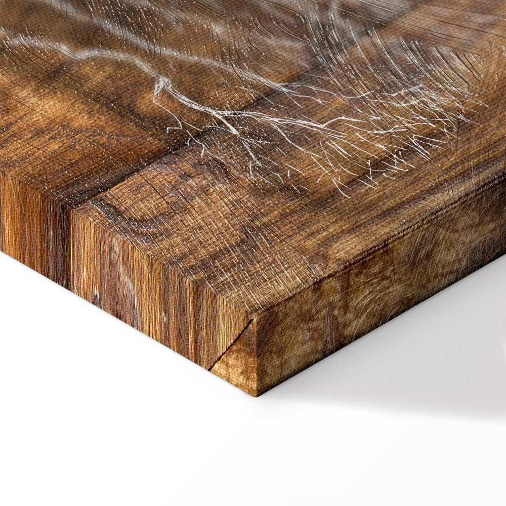 Leinwandbild - Tree Chronicle