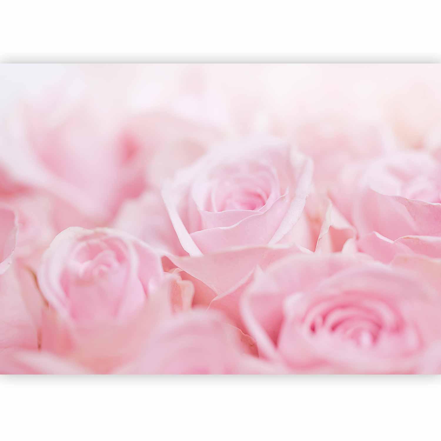 Fototapete - Ocean of Roses Artgeist